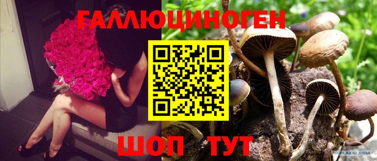Галлюциногенные грибы мухоморы  Вход с VPN  Озёрск 